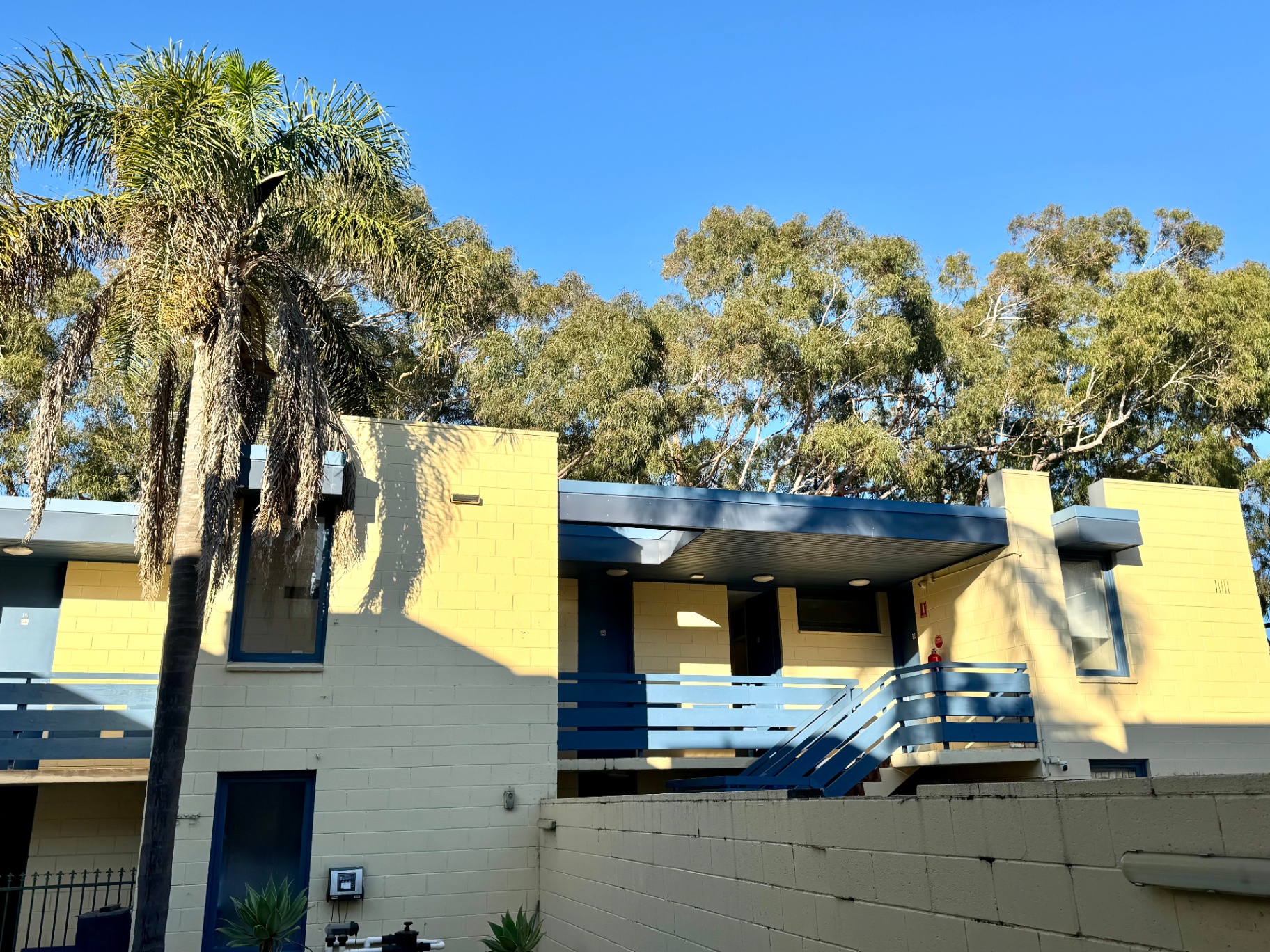 Pathfinder Motel exterior with palm and gum trees
