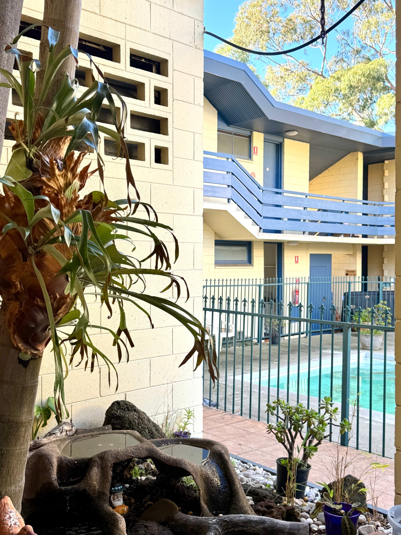Leafy garden and courtyard at Pathfinder Motel